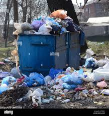 Professional Junk Removal Services in Bithlo, FL