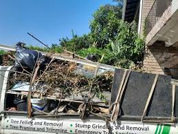 Best Yard Waste Removal  in Bithlo, FL